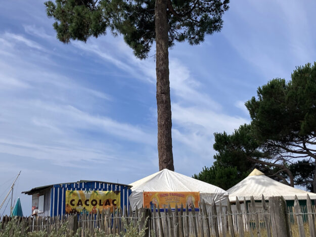 club-les-marsouins-andernos-1