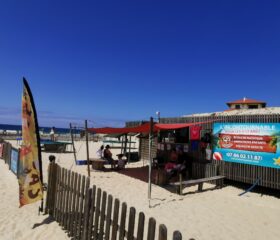 IMG_20260805_150744